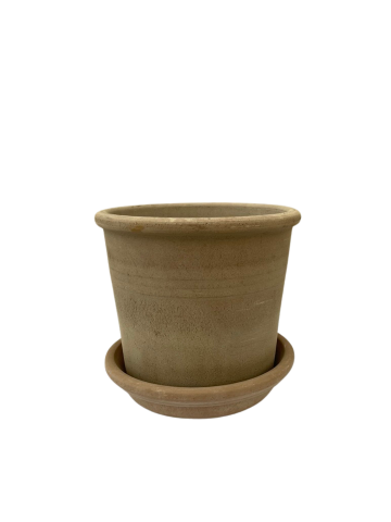 SASELINE - LIGHT CHOKO WITH SAUCER 