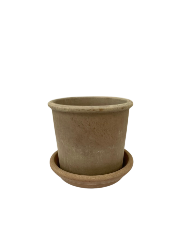 SHIRLEY - LIGHT CHOKO WITH SAUCER 