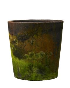 OFELIA - CHOKO PATINA