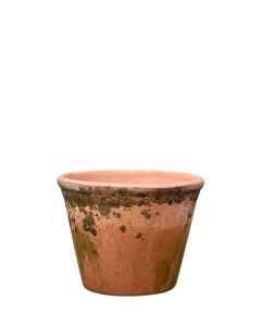 LACEPOT LOW - PATINA 