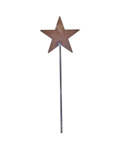 VERONICA - IRON STAR ON STICK