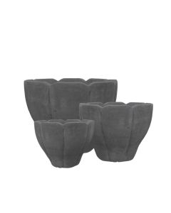 FLORA - CHOKO PATINA